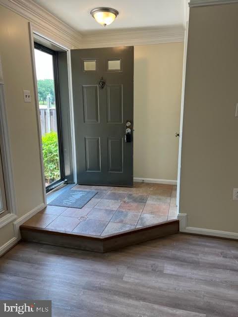 10387 Dylan Pl in Manassas, VA - Building Photo - Building Photo