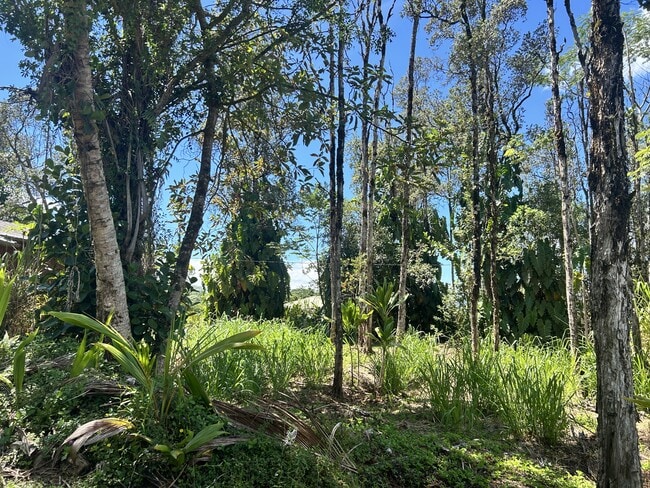 15-1688-1688 32nd Ave in Keaau, HI - Building Photo - Building Photo
