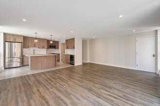 227 E Walton Pl in Chicago, IL - Building Photo - Building Photo