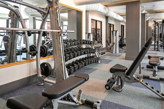 The Drake in Charlotte, NC - Building Photo - Building Photo