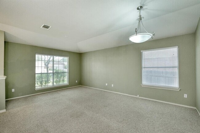 3931 Upper Passage Ln in Round Rock, TX - Building Photo - Building Photo