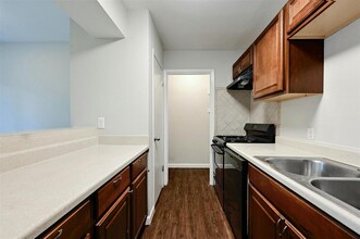 4802 W Wind Trail in Austin, TX - Building Photo - Building Photo
