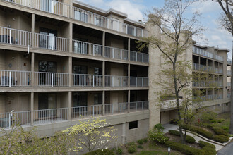 Oak Alley Court Condominiums in Toledo, OH - Building Photo - Primary Photo