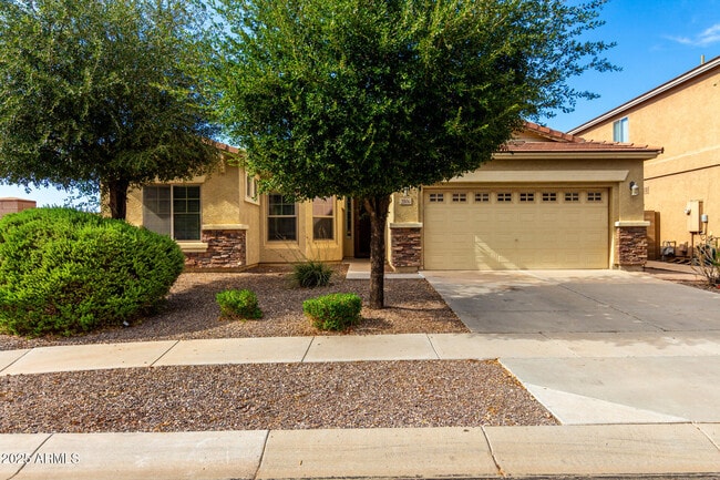 property at 2806 E Trigger Way