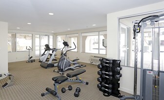 The View Luxury Apartments in Staten Island, NY - Building Photo
