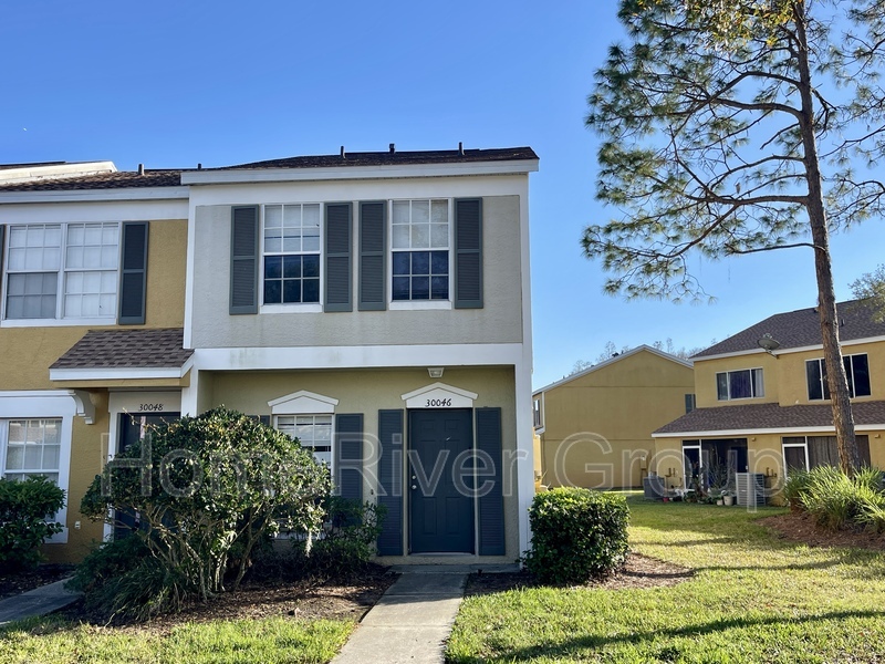 30046 Granda Hills Ct in Zephyrhills, FL - Building Photo