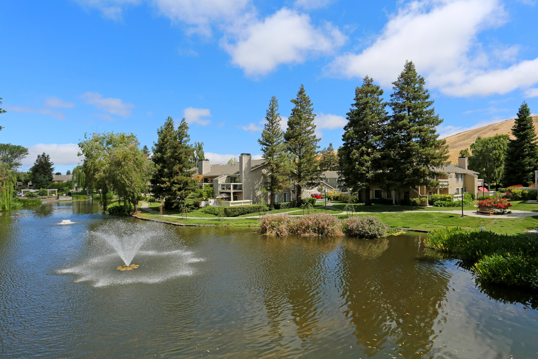 Amador Lakes Apartments in Dublin, CA - Building Photo