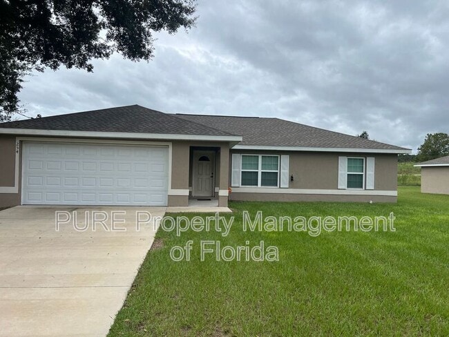 254 Malauka Run in Ocklawaha, FL - Building Photo - Building Photo
