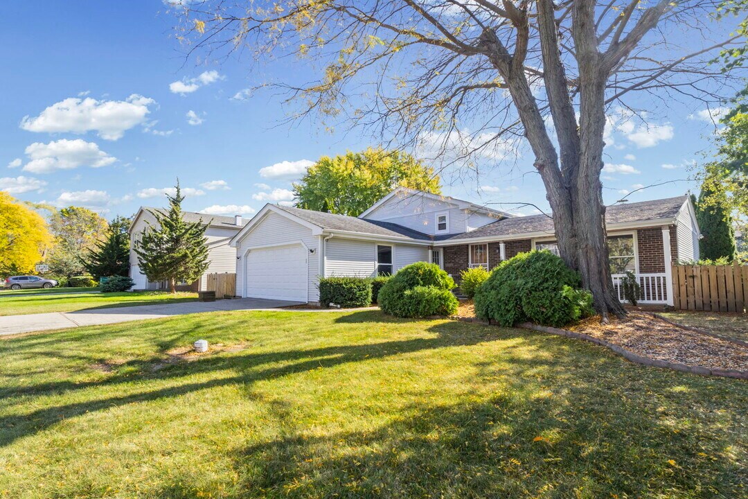 1435 Mill Creek Dr in Buffalo Grove, IL - Building Photo