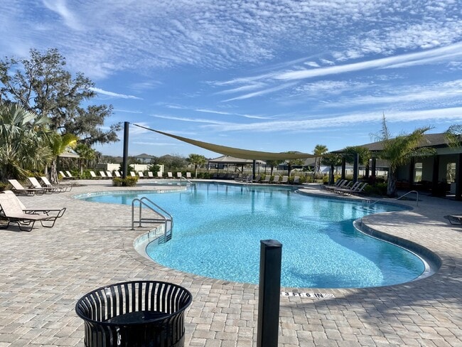 33367 Apricot Tree Ct in Wesley Chapel, FL - Foto de edificio - Building Photo