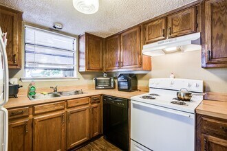 3309 Fallmeadow St in Denton, TX - Building Photo - Building Photo