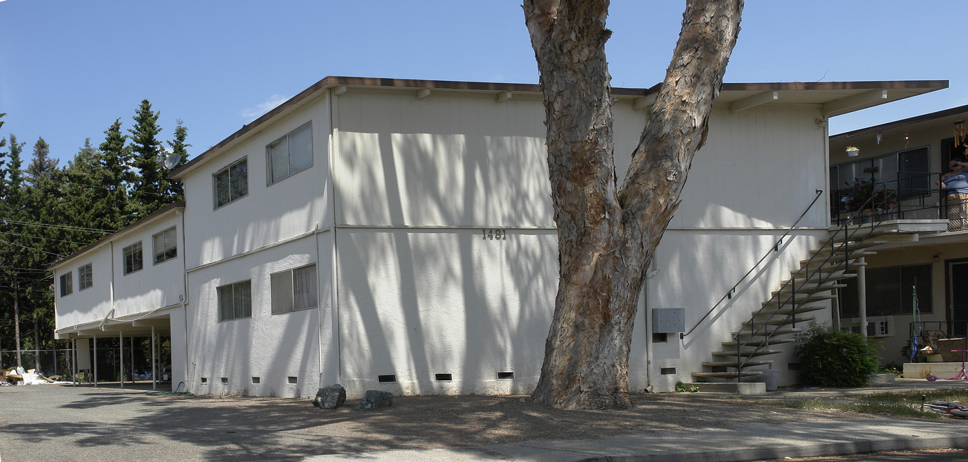 1481 Marclair Dr in Concord, CA - Building Photo