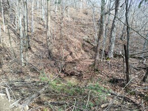 362 Ester Spur Rd in Waynesburg, KY - Building Photo - Building Photo