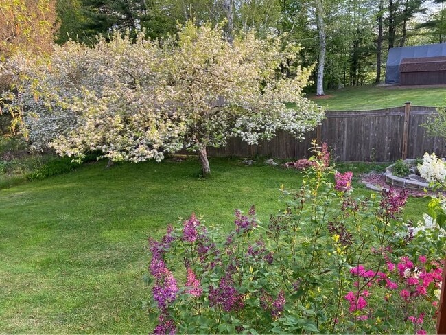 property at 284 Dalton Division Rd