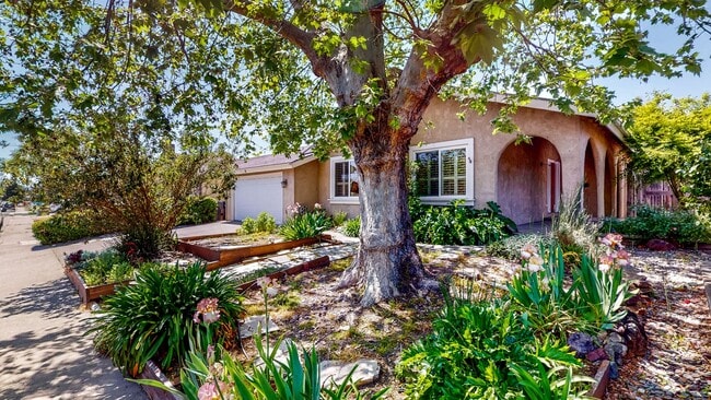 1321 Berrydale Dr in Petaluma, CA - Building Photo - Building Photo