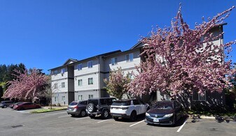 Pioneer Village Apartments in Silverton, OR - Building Photo