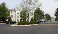 Ripley Station Apartments in Raleigh, NC - Building Photo - Building Photo