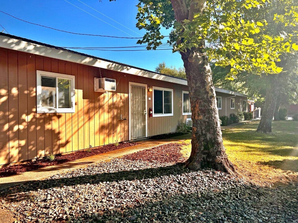 4160 Oro Ln in Diamond Springs, CA - Building Photo