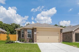 1111 Diamond Drape Dr in Arcola, TX - Building Photo