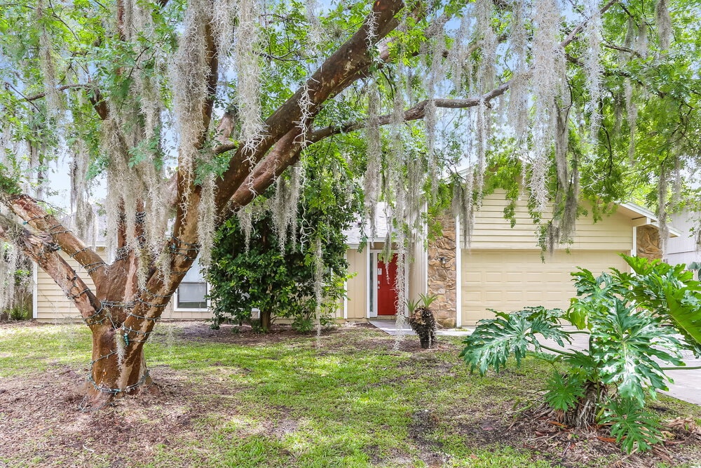 8231 Weybridge Dr in Jacksonville, FL - Building Photo
