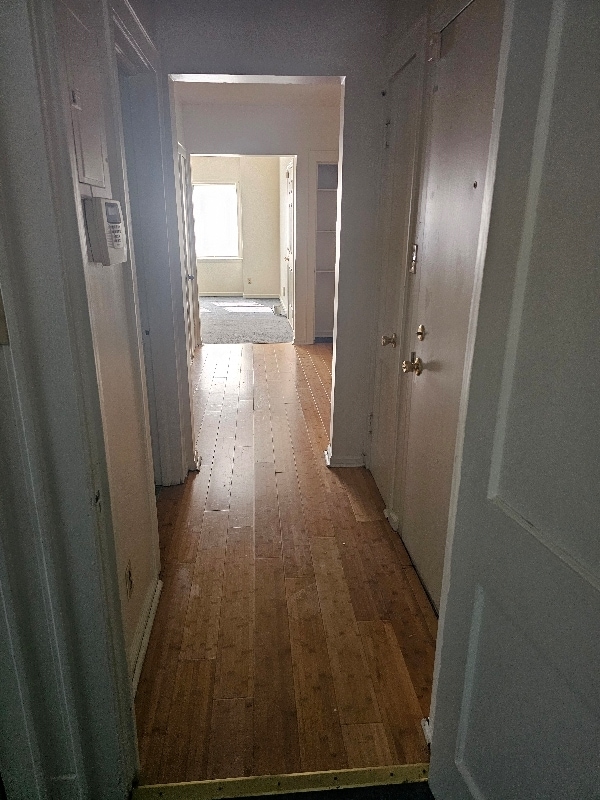 691 Madelon Ct in Louisville, KY - Building Photo - Building Photo