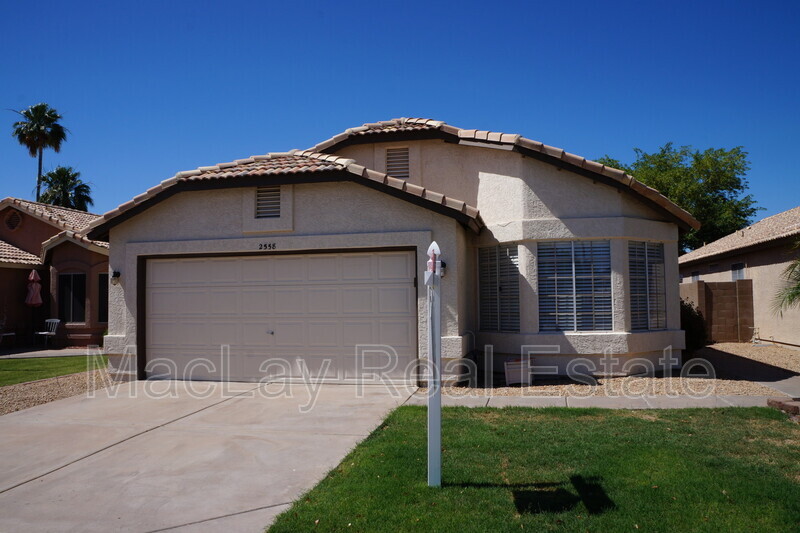 2558 W Orchid Ln in Chandler, AZ - Building Photo