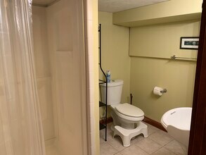 145 Nichols Ave, Unit B in Watertown, MA - Building Photo - Building Photo