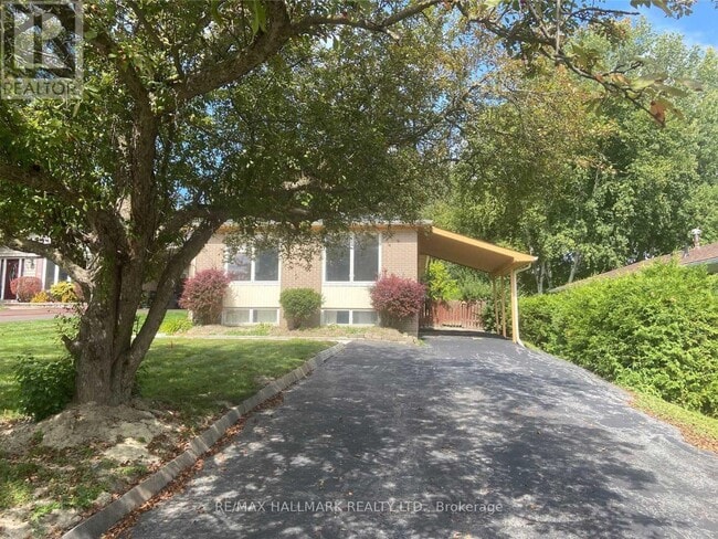 331 Roywood Crescent in Newmarket, ON - Building Photo - Building Photo