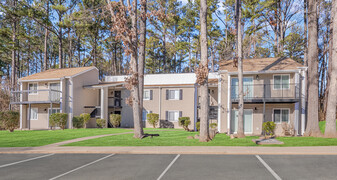 The Element Apartments in Durham, NC - Building Photo - Building Photo