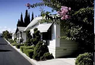 Willow Ranch in Sunnyvale, CA - Foto de edificio - Building Photo