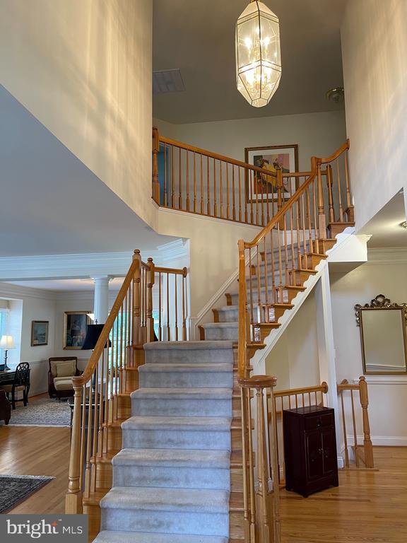 property at 6915 Bonheim Ct