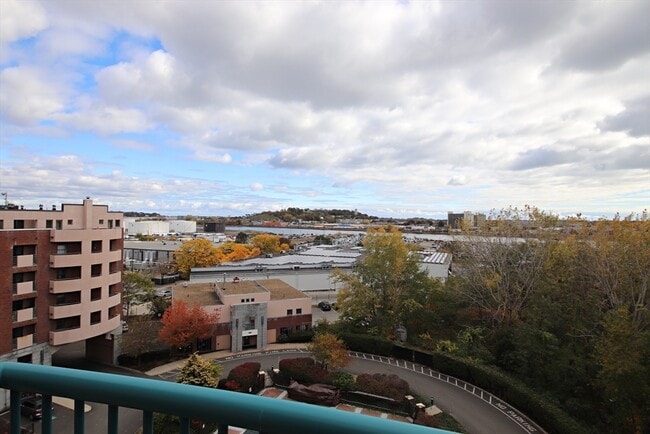 175 Cottage St in Chelsea, MA - Foto de edificio - Building Photo