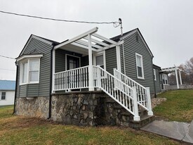 313 E Bernard Ave in Greeneville, TN - Building Photo