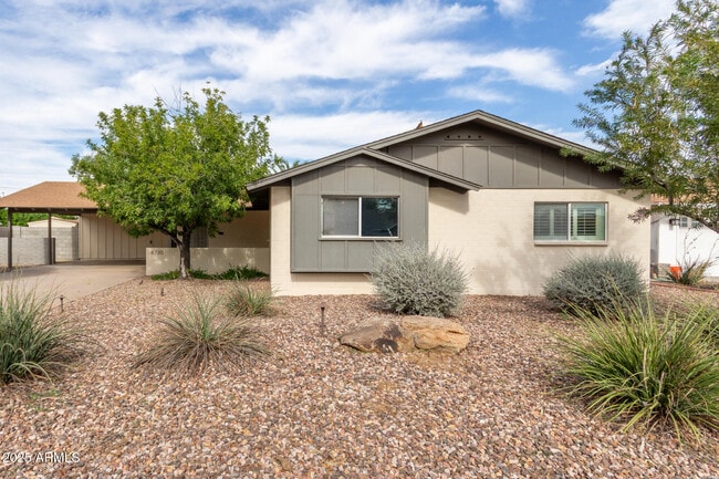 8730 E Terrace Dr in Scottsdale, AZ - Building Photo - Building Photo