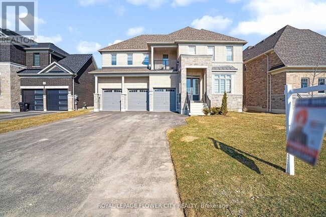 property at 11 Wintergreen Ln