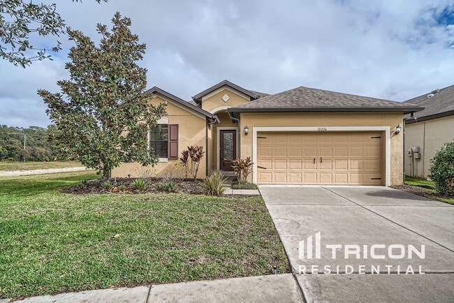 12216 Creek Preserve Dr in Riverview, FL - Building Photo - Building Photo
