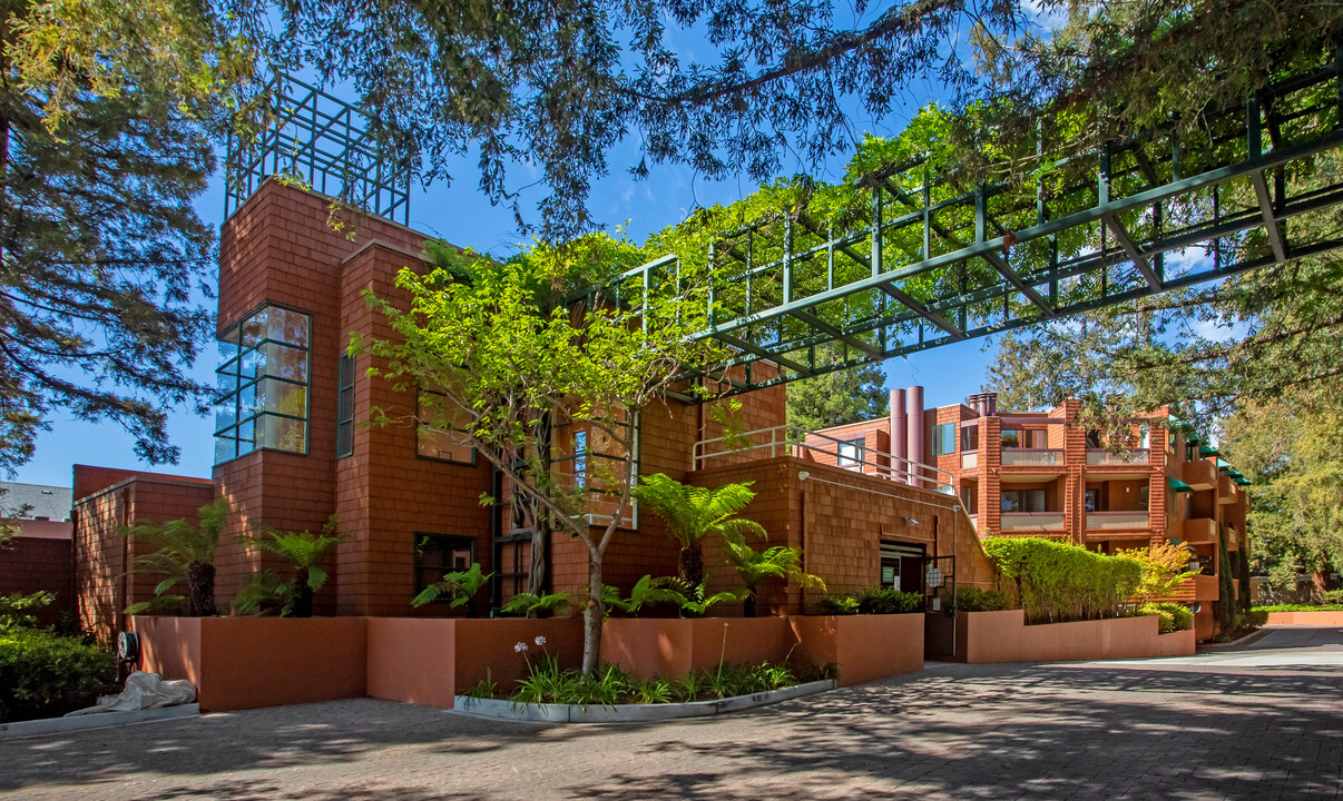 Palo Alto Redwoods in Palo Alto, CA - Building Photo