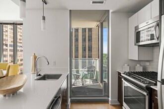 251 N Garland Ct in Chicago, IL - Foto de edificio - Building Photo