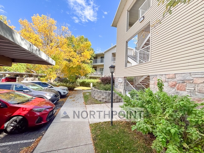 property at 3855 Canyon River Wy