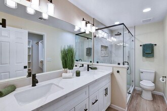 7331 W Windrose Dr in Peoria, AZ - Building Photo - Building Photo