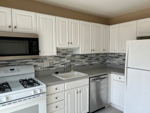 1028 Brunswick Harbor in Schaumburg, IL - Building Photo - Building Photo