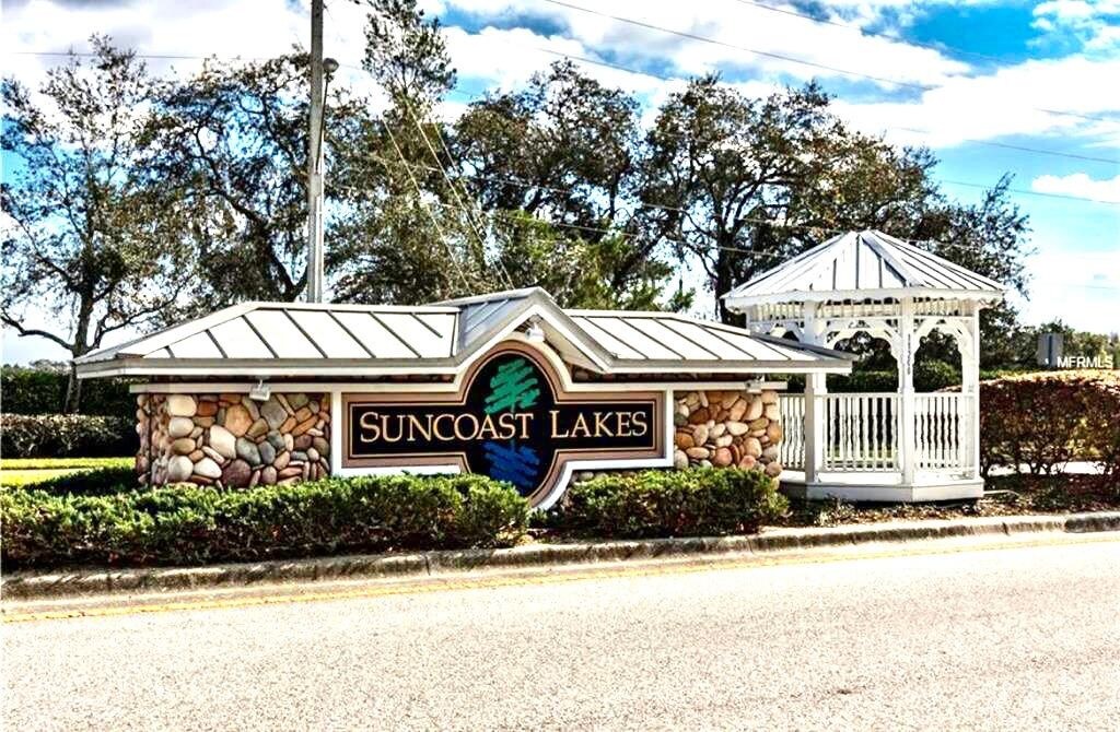 10618 Deerberry Dr in Land O Lakes, FL - Building Photo