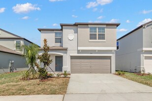 31603 Barrel Wave Way in Zephyrhills, FL - Building Photo