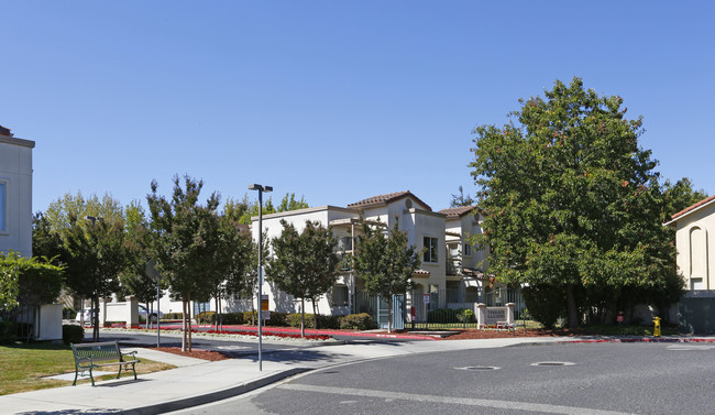 Terrace Gardens in Milpitas, CA - Building Photo - Building Photo