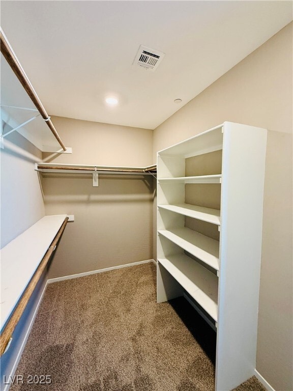 property at 8724 Giant Causeway Ave