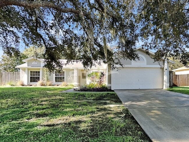 property at 11824 Caruso Dr