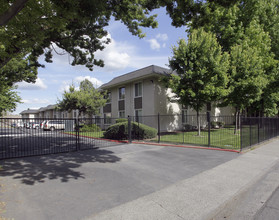 Willow Tree Apartments in Sacramento, CA - Building Photo - Building Photo