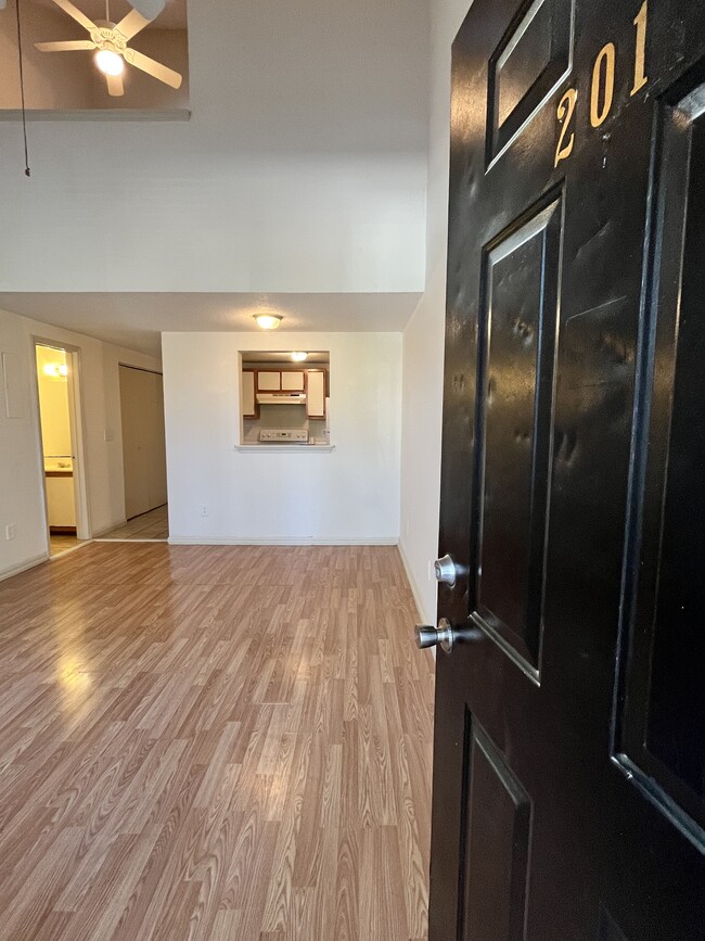 149 Lullwater Dr in Wilmington, NC - Foto de edificio - Building Photo