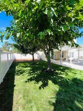 31751 Calle Novelda in Temecula, CA - Building Photo - Building Photo