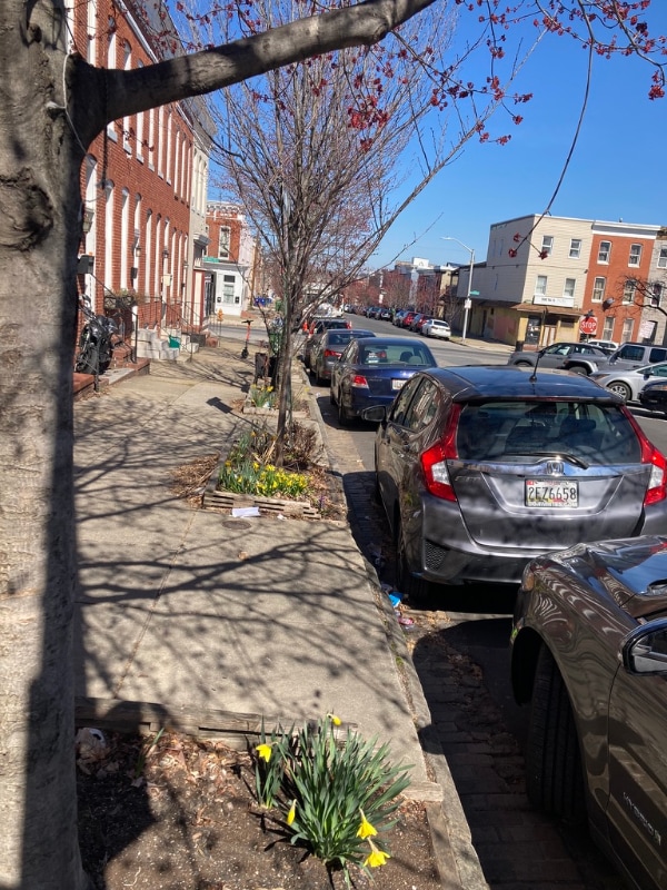 132 N Collington Ave in Baltimore, MD - Building Photo - Building Photo